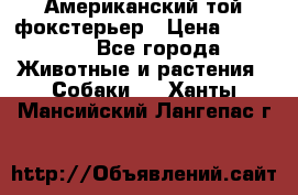 Американский той фокстерьер › Цена ­ 25 000 - Все города Животные и растения » Собаки   . Ханты-Мансийский,Лангепас г.